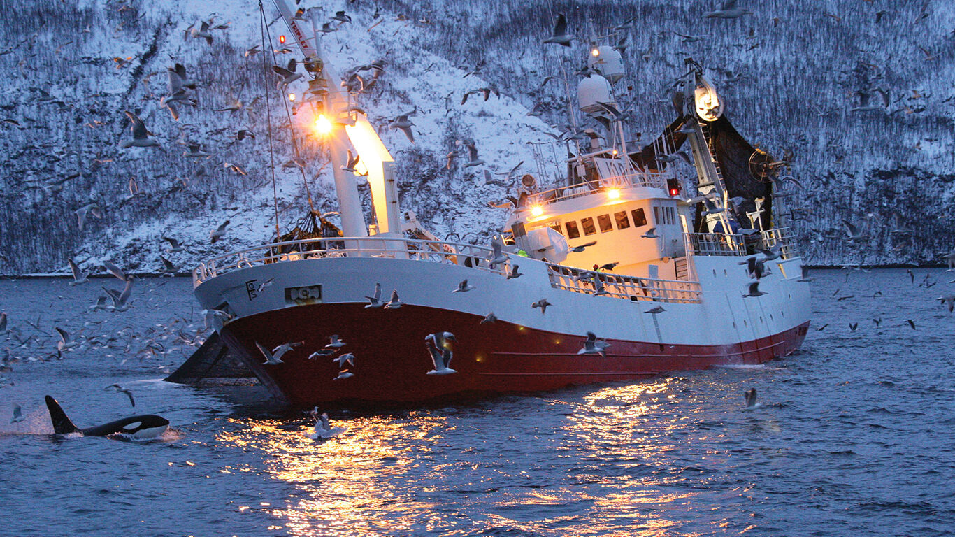 A marine level 2 fishing vessel 