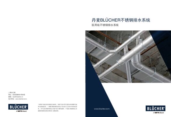 Blucher-domestic_CHN